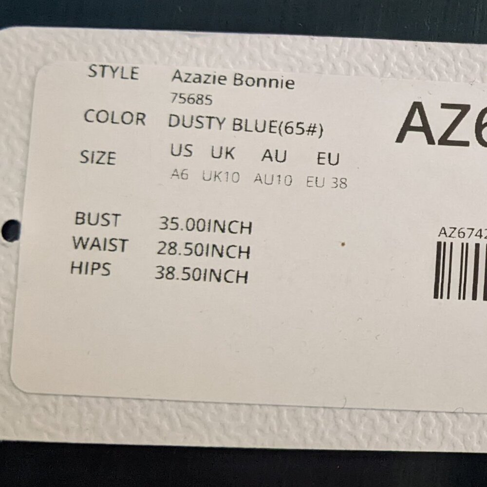 Azazie Bonnie (Dusty Blue) + Travel Garment Bag - Picture 5 of 5